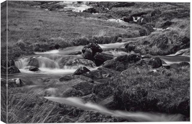 River at Pen-y-Gwryd in Snowdonia National Park Canvas Print by Paul Brewer