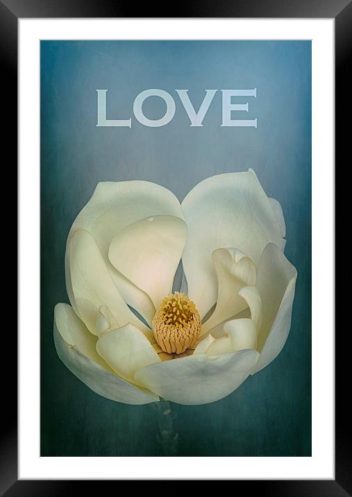 LOVE Magnolia Framed Mounted Print by Abdul Kadir Audah