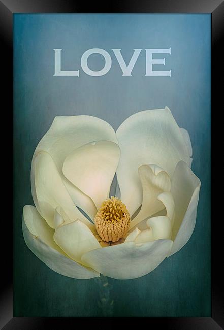 LOVE Magnolia Framed Print by Abdul Kadir Audah