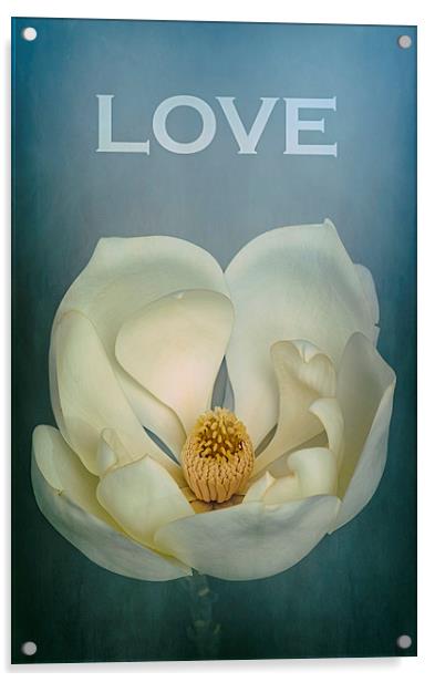 LOVE Magnolia Acrylic by Abdul Kadir Audah