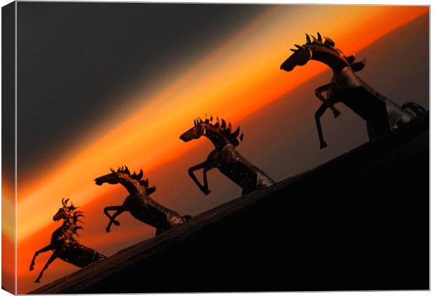 Sunset Stallions Canvas Print by