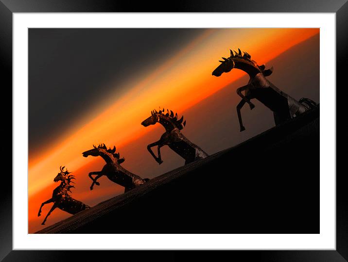 Sunset Stallions Framed Mounted Print by