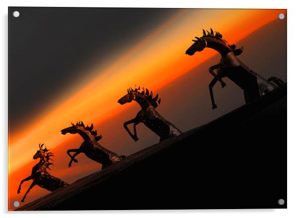 Sunset Stallions Acrylic by