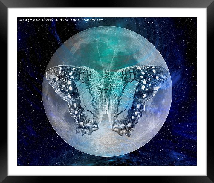 MOON BUTTERFLY Framed Mounted Print by CATSPAWS 