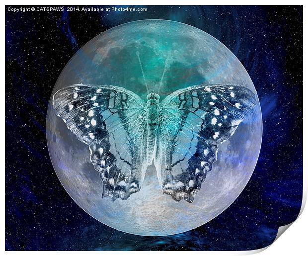 MOON BUTTERFLY Print by CATSPAWS 