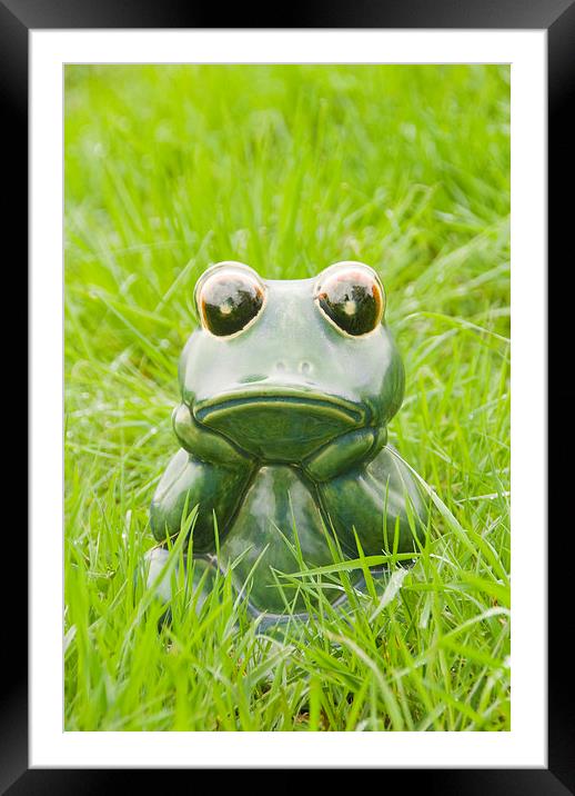 Frog in the grass Framed Mounted Print by Bernd Tschakert