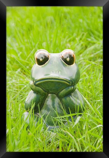 Frog in the grass Framed Print by Bernd Tschakert
