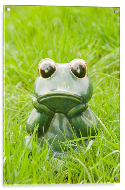 Frog in the grass Acrylic by Bernd Tschakert