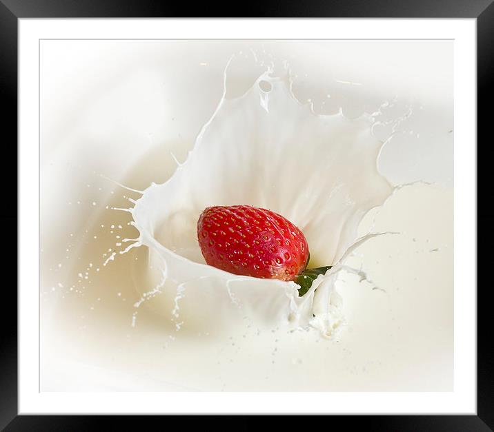 Strawberry Splash Framed Mounted Print by Mark Battista