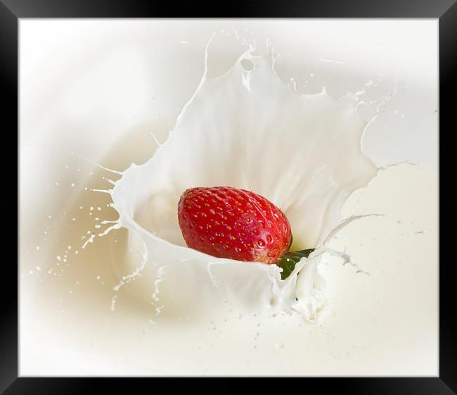 Strawberry Splash Framed Print by Mark Battista