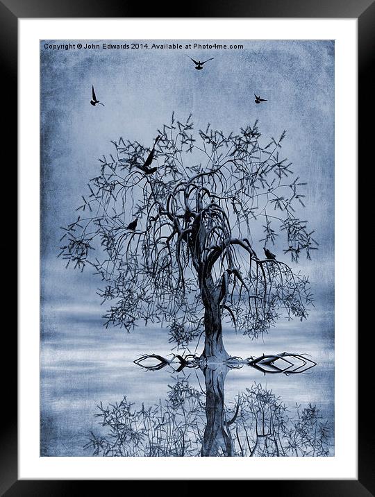 The Wishing Tree Cyanotype Framed Mounted Print by John Edwards