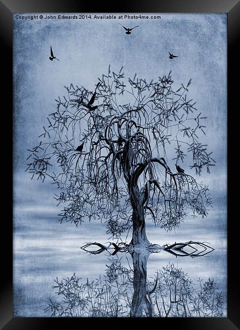 The Wishing Tree Cyanotype Framed Print by John Edwards