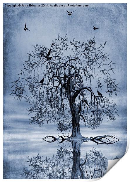 The Wishing Tree Cyanotype Print by John Edwards
