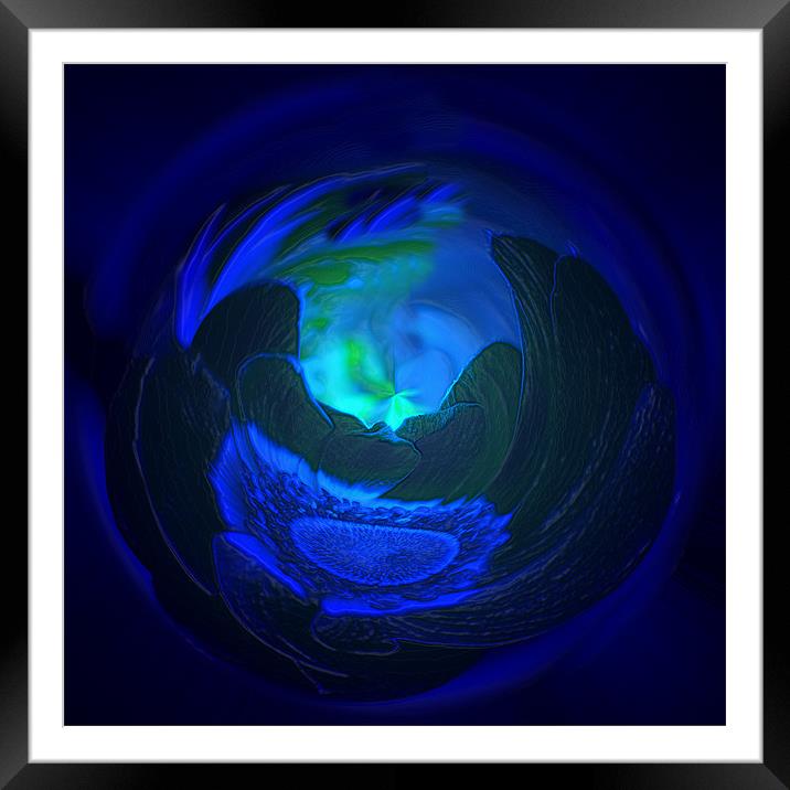 3058_87819 Abstract Anemone Framed Mounted Print by Barbara Gardner