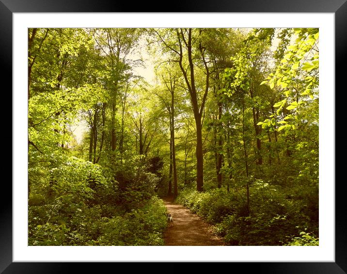 The Path Goes Ever On. Framed Mounted Print by Heather Goodwin