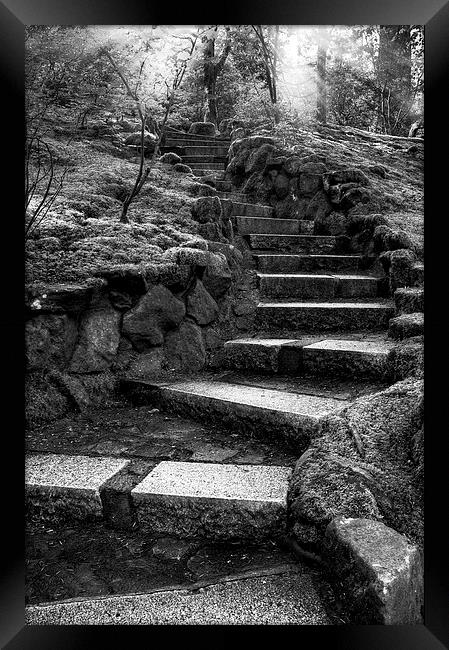 Stony Stairs Framed Print by Robert Pettitt