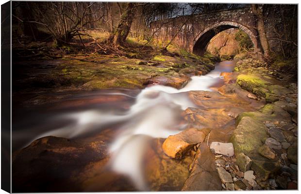 Cumbrian Flow Canvas Print by David Hare