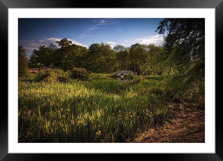 Lower Lake The Side View Framed Mounted Print by matthew  mallett