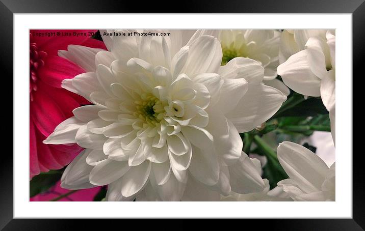 Lovely White Flower Framed Mounted Print by Lisa PB
