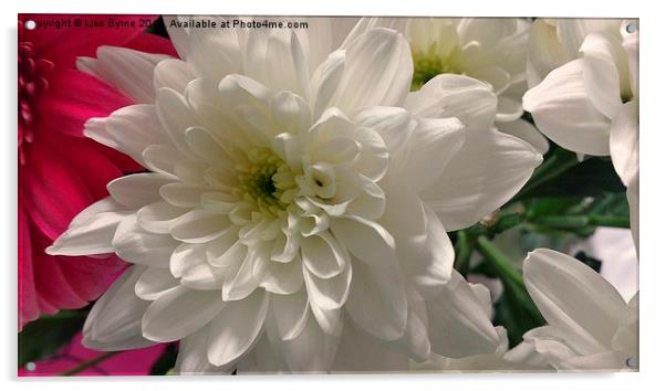 Lovely White Flower Acrylic by Lisa PB