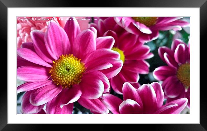 I Love Pink Framed Mounted Print by Lisa PB