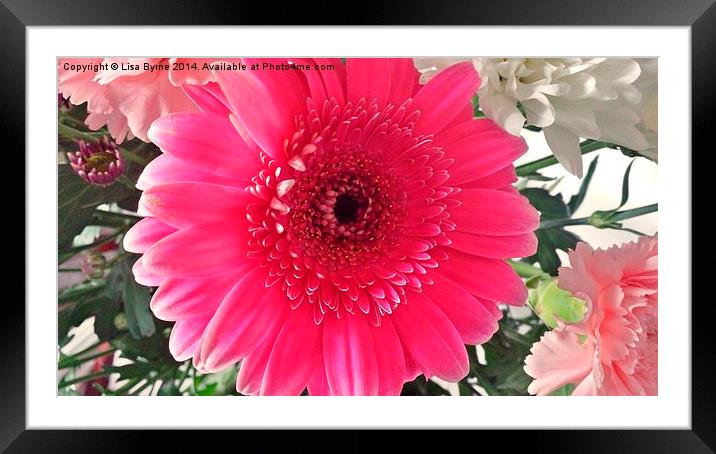 Lovely Pink Flower Framed Mounted Print by Lisa PB