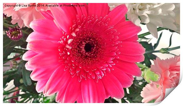 Lovely Pink Flower Print by Lisa PB