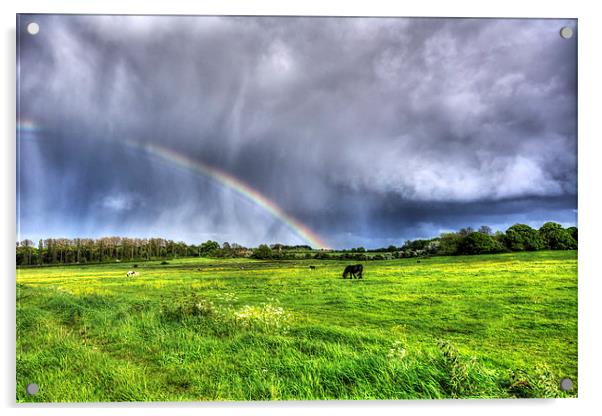Harlow Common Rainbow Acrylic by Nigel Bangert