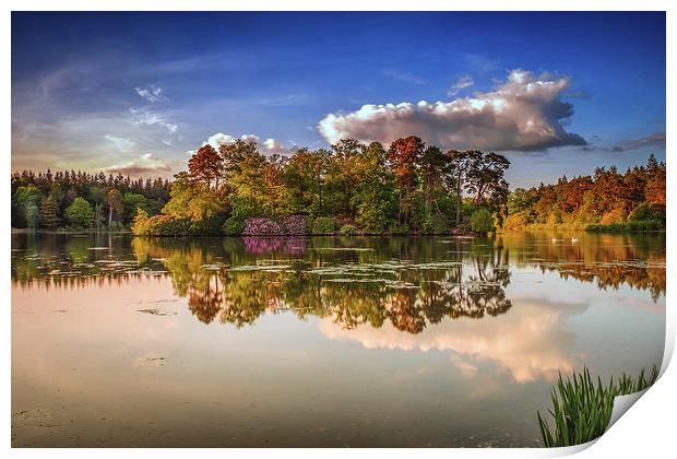 Tranquil Moment By the Lake Print by matthew  mallett