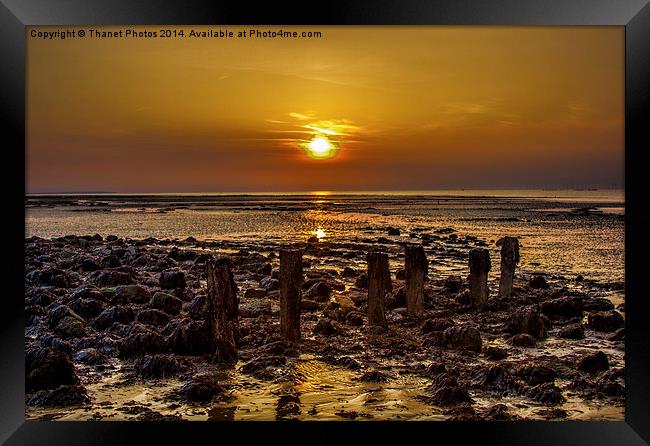 Sunset on the rocks Framed Print by Thanet Photos