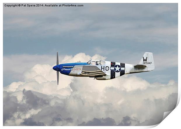 P51 Mustang - Gallery No. 2 Print by Pat Speirs