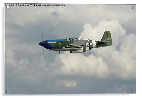 P51 Mustang - Gallery No. 1 Acrylic by Pat Speirs