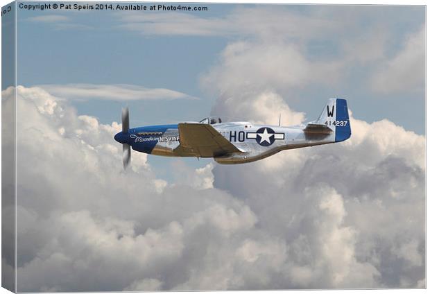 P51 Mustang - Gallery No. 3 Canvas Print by Pat Speirs