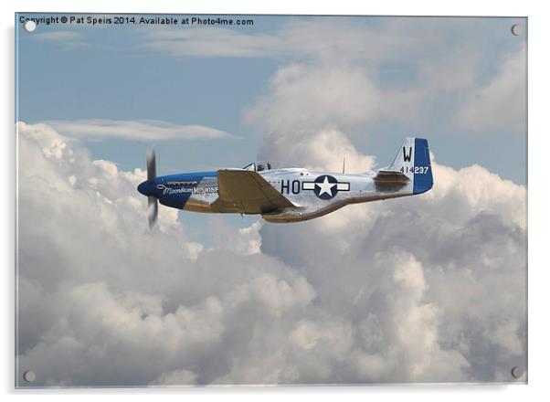P51 Mustang - Gallery No. 3 Acrylic by Pat Speirs