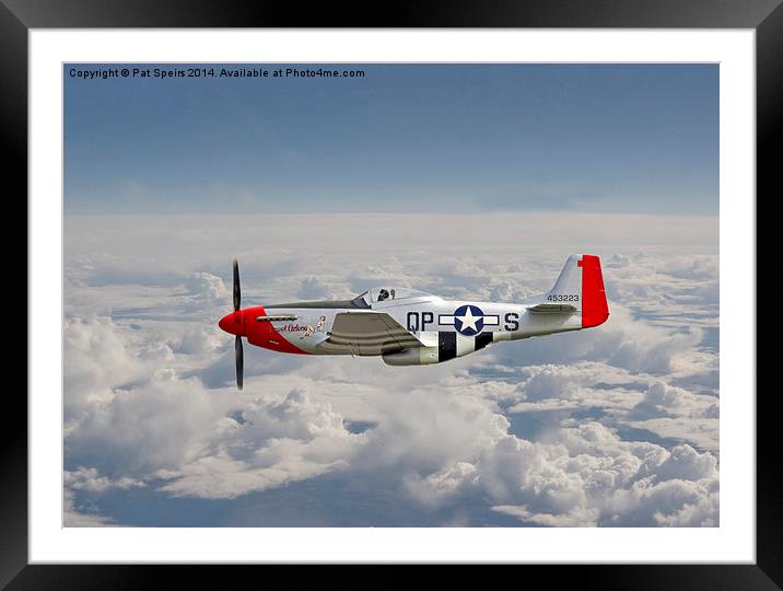 P51 Mustang - Gallery No. 4 Framed Mounted Print by Pat Speirs