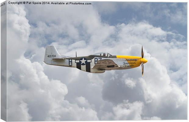 P51 Mustang - Gallery No. 5 Canvas Print by Pat Speirs