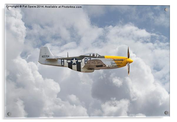 P51 Mustang - Gallery No. 5 Acrylic by Pat Speirs