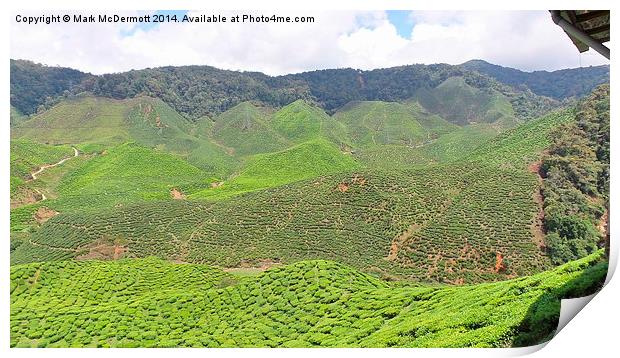 Mountains of Tea Print by Mark McDermott