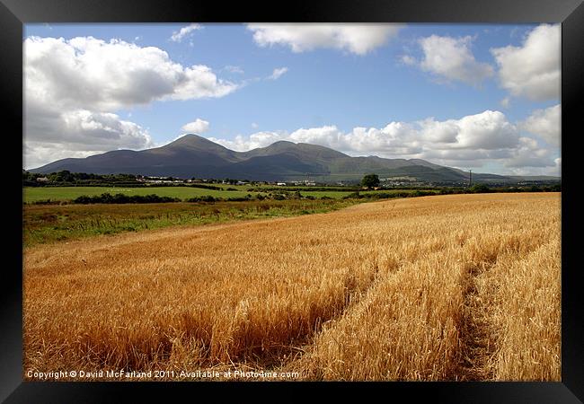 Harvest in the Mournes Framed Print by David McFarland