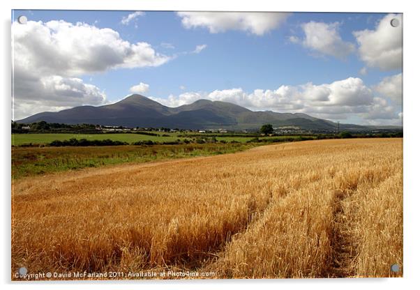 Harvest in the Mournes Acrylic by David McFarland