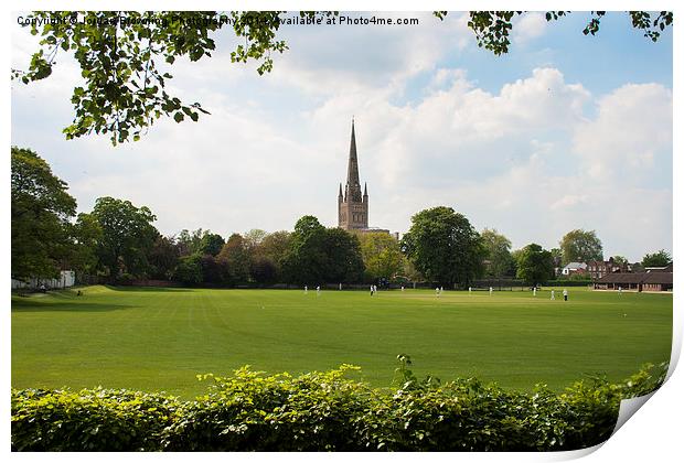 Norwich Cricket Print by Jordan Browning Photo