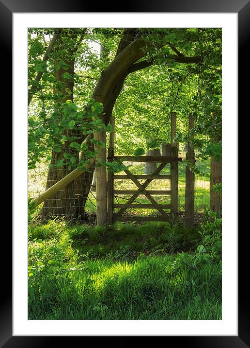 Summer Gate Framed Mounted Print by Ann Garrett