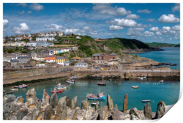 Mevagissey outer harbour Print by Rosie Spooner