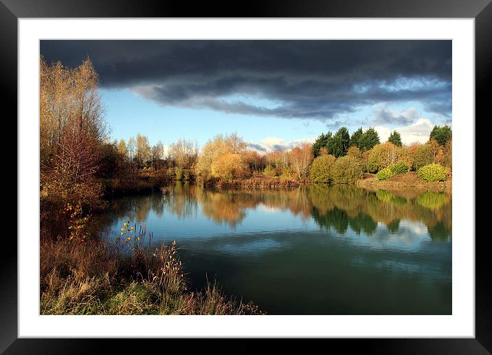 Dinton Pastures Country Park Framed Mounted Print by Tony Bates