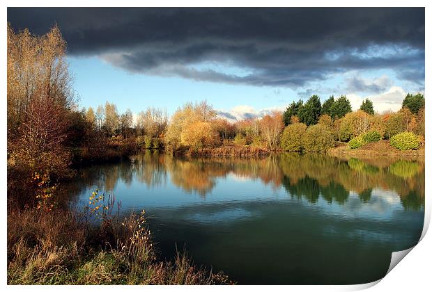 Dinton Pastures Country Park Print by Tony Bates