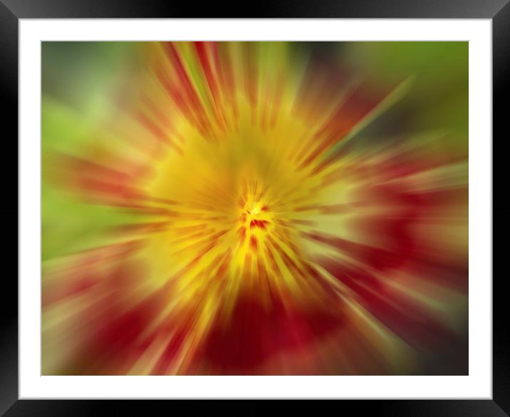 Flora Burst Abstract Framed Mounted Print by Clive Eariss
