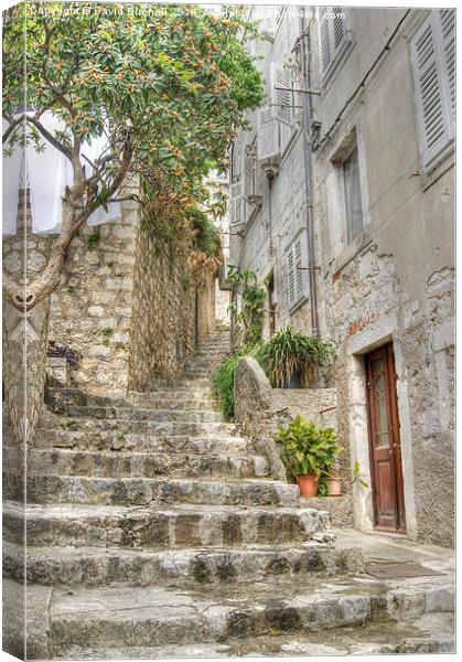 Dubrovnik Old Town Steps Canvas Print by David Birchall