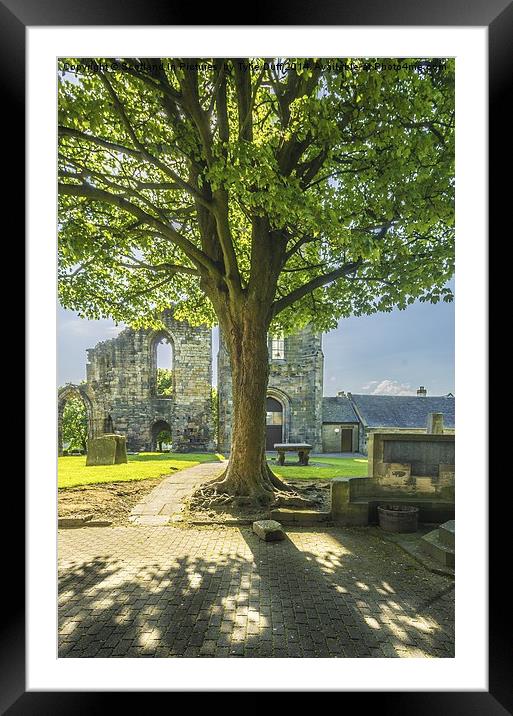 Springtime at Kilwinning Abbey Ayrshire Framed Mounted Print by Tylie Duff Photo Art