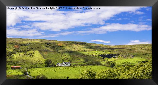 Scottish Hillside Framed Print by Tylie Duff Photo Art