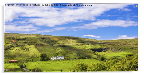 Scottish Hillside Acrylic by Tylie Duff Photo Art